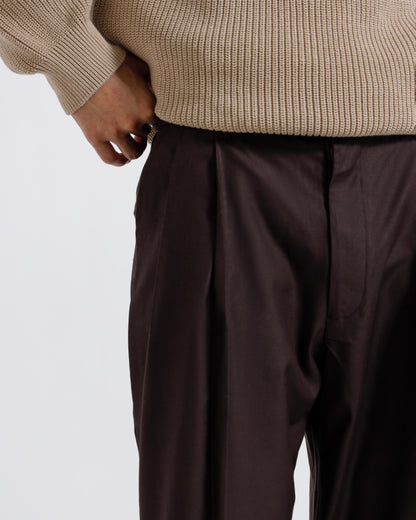 Tailored Pleated Pants